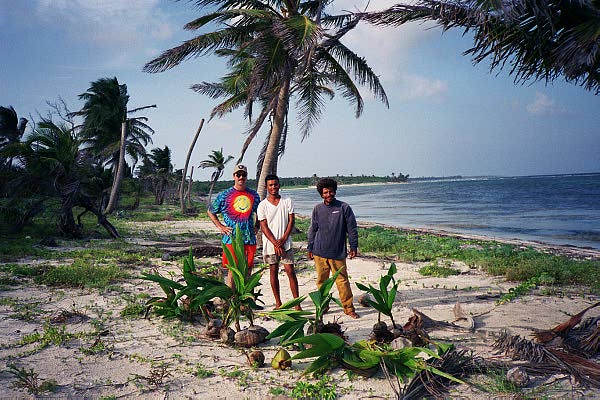 Rico, Ralph and Jorge with coconut trees to plant.