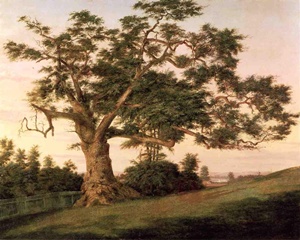 The Charter Oak by Charles De Wolf Brownell 1857