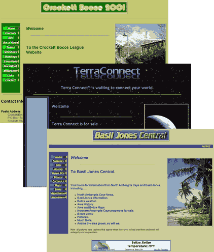 Some examples of our Web Page Design